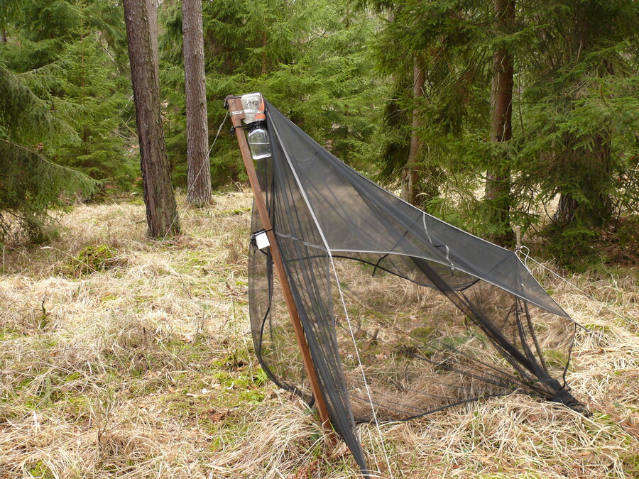Eine Malaisefalle zum Fangen von Insekten für Untersuchungen steht in einem Wald in Thüringen
