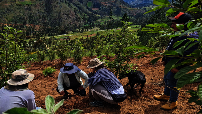 Hier klicken um Video zu starten.