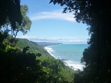 Ausblick auf Regenwald der an Meer grenzt