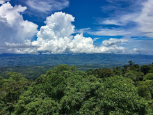 Regenwald in Costa Rica