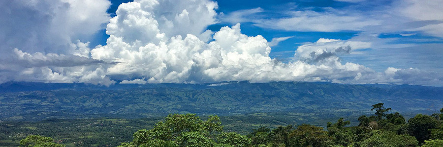 Regenwald in Costa Rica