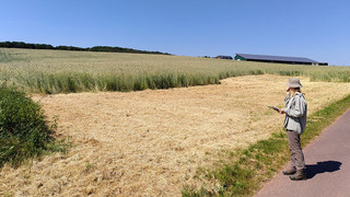 Planung vom Dynamischen Agroforst auf der Biofarm van Wesemael
