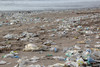 Plastikmüll liegt angeschwemmt an einem Sandstrand