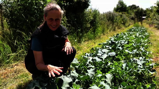 Hier klicken um Video zu starten.