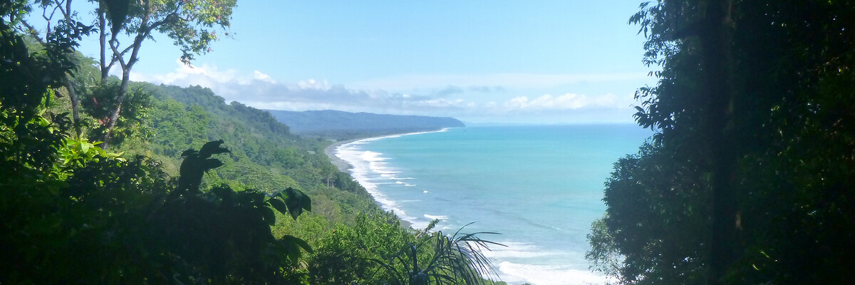 Im Corcovado-Nationalpark trifft der Regenwald auf den Pazifik