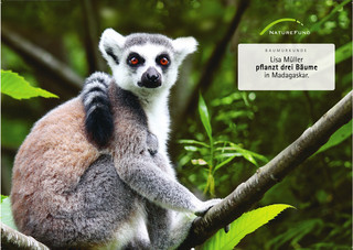 Spendenurkunde für Waldschutz- und Aufforstungsprojekt auf Madagaskar