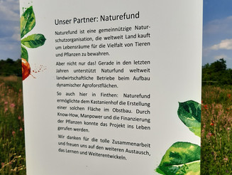 Infoschilder auf einem Dynamischen Agroforst Acker in Mainz erklären die Anbaumethode