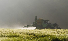 Pestizide werden von einem Traktor auf einem Feld ausgebracht, auf dem Getreide wächst