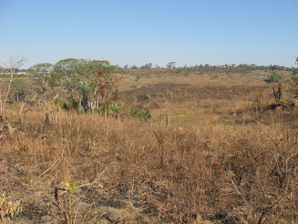 Trockene karge Landschaft in Malawi