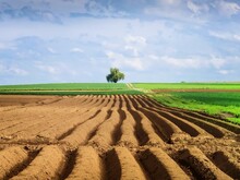 Kahle Ackerfläche zieht sich bis zum Horizont