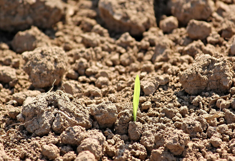 Das neue Jahr beginnt