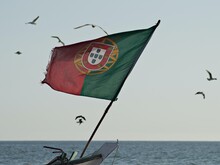Flagge von Portugal weht in der Luft