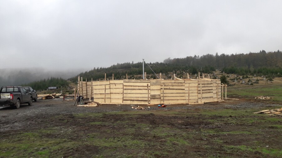Runde Fanganlage aus Holz 