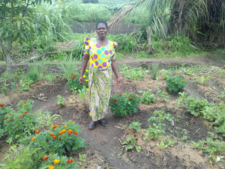 Eine Bäuerin steht in Malawi auf ihrer bepflanzten Parzelle
