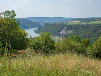 Weitblick in das sommerliche Rheintal