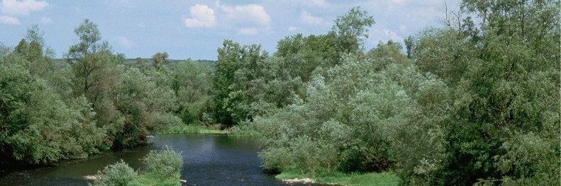 Flussaue, bei der sich ein Fluss durch bewaldete Flächen schlängelt