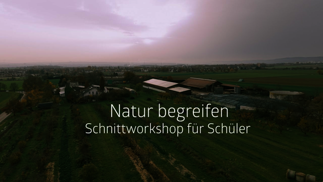 Hier klicken um Video zu starten.