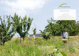 Urkunde für die Unterstützung des Naturschutzprojektes "Dynamischer Agroforst in Deutschland" von der Naturschutzorganisation Naturefund