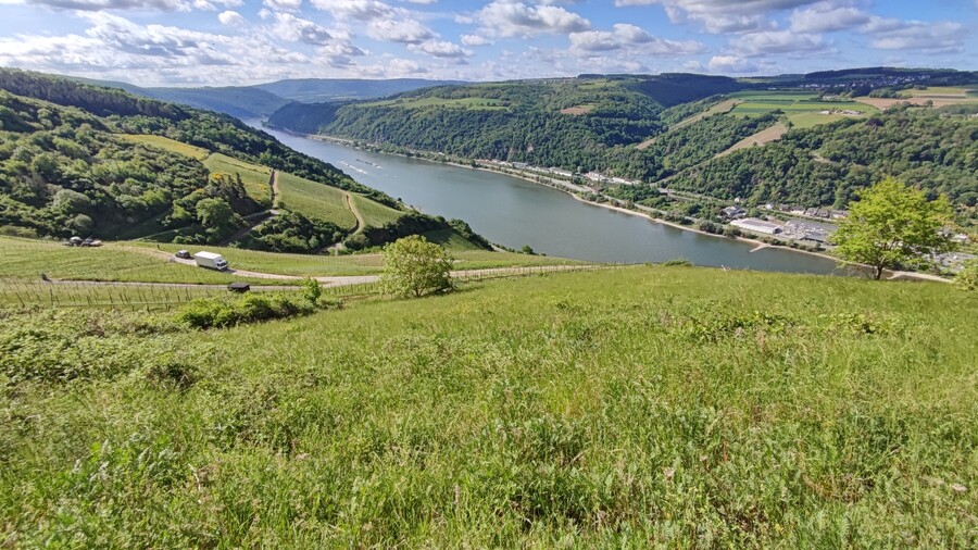 Wiese im Gebiet der Dörscheider Heide vor dem Panorama des Mittelrheins