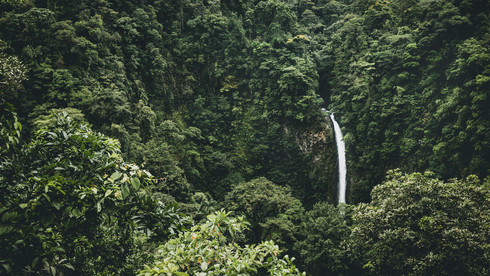 Wasserfall im dichten Regenwald von Costa Rica