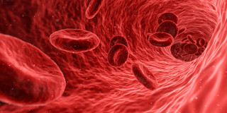 Rote Blutkörperchen fließen durch Ader