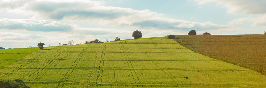 Landwirtschaftliche Ackerflächen unter blauem Himmel