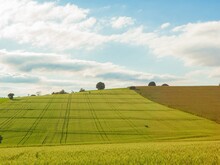 Landwirtschaftliche Ackerflächen unter blauem Himmel