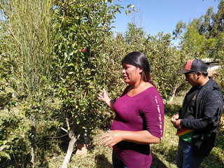 Die Kleinbäuerin Sonia auf ihrer Dynamische Agrofrost Parzelle in Bolivien