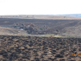 Abgebrannter Boden auf Madagaskar