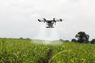 Eine Drohne sprüht Pestizide über ein landwirtschaftlich genutztes Feld