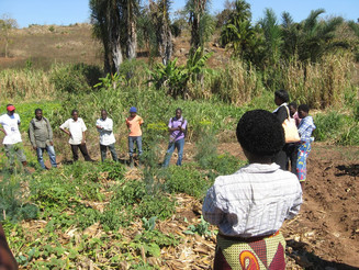 Mehrere Landwirte stehen auf landwirtschaftlicher Parzelle und reden miteinander