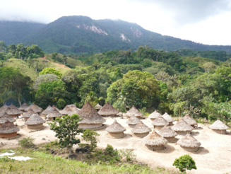 Kogi Dorf Aviaka liegt eingebettet in Wald in der Sierra Nevada de Santa Marta