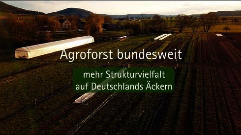 Hier klicken um Video zu starten.