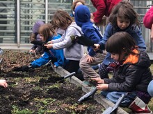 Kinder pflanzen Blumensamen