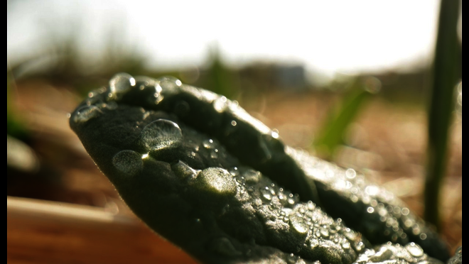 Hier klicken um Video zu starten.