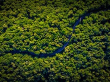 Straße schlängelt sich durch Wald