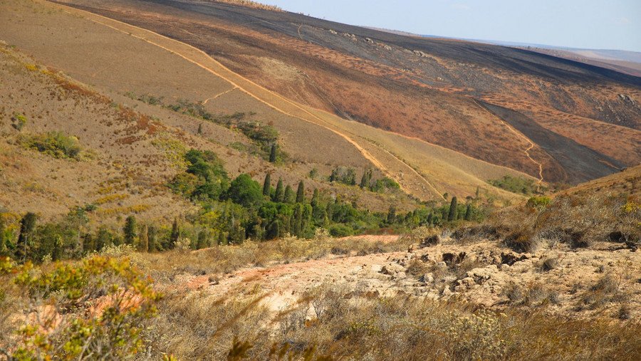 Letzte Reste Hochlandregenwald schmiegen sich in eine Senke im Schutzgebiet rund um Ankafobe auf Madagaskar