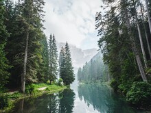 Fluss durch Waldgebiet