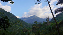 Weiter Blick in intakte Regenwälder der Bergkette Sierra Nevada de Santa Marta in Kolumbien