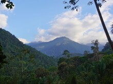 Weiter Blick in intakte Regenwälder der Bergkette Sierra Nevada de Santa Marta in Kolumbien