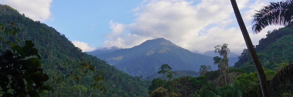Weiter Blick in intakte Regenwälder der Bergkette Sierra Nevada de Santa Marta in Kolumbien