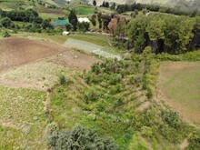 Dynamische Agroforstparzelle mit vielfältig bepflanzten Bäumen wächst am Rande noch bestehender Waldflächen zur Wiederaufforstung
