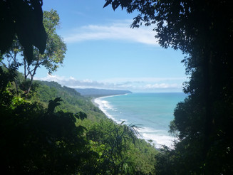 Regenwaldküste vom Corcovado Nationalpark fotografiert aus einem Loch im Regenwalddickicht