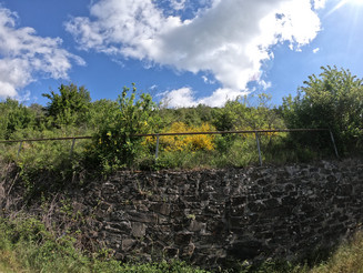 Alte Trockenmauer in der Dörscheider Heide, kurz vor dem Verfall steht