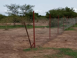 Zaun rund um Ackerparzelle in Burkina Faso