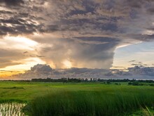 Regenguss auf Feld
