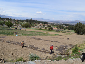 Menschen arbeiten auf trockener landwirtschaftlicher Fläche in Bolivien