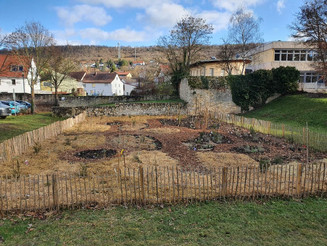 Frisch bepflanzte Fläche vor dem Schloss in Gau-Algesheim