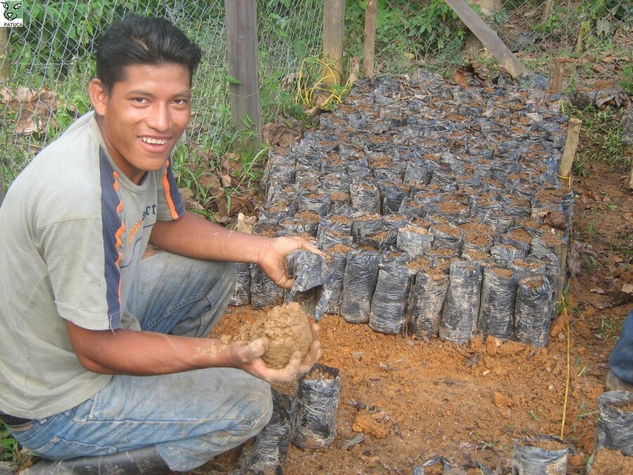 Erde und Samen werden in schwarze Pflanztüten gefüllt. Foto: Asociación Patuca