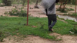 Ein Mann trägt einen Zaun auf der Schulter
